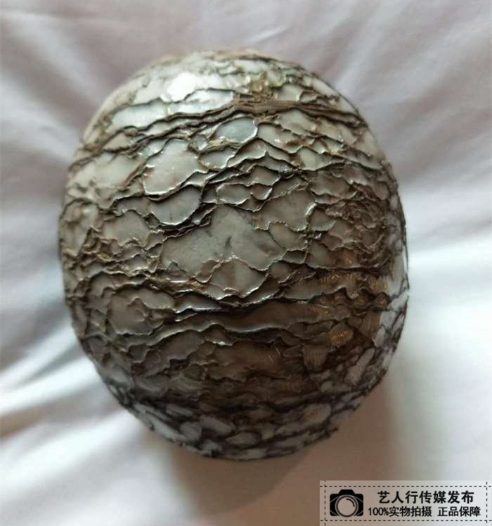 精品蟒蛇蛋化石寻找最具眼光收藏家 持有者:彭先生__凤凰网