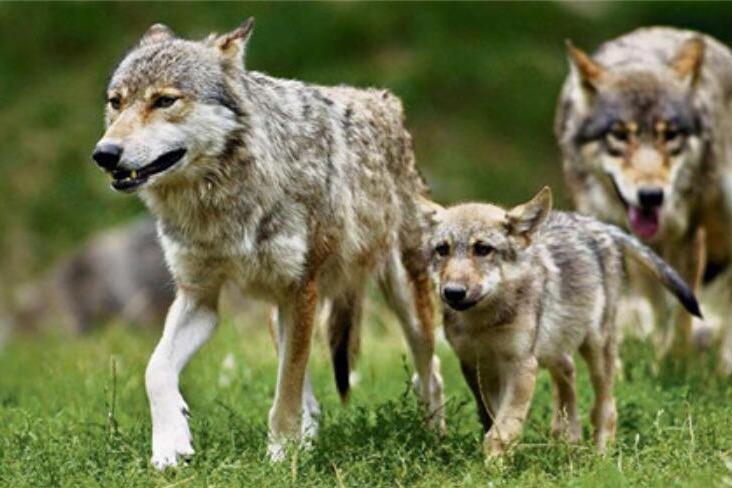 穷追不舍电视剧