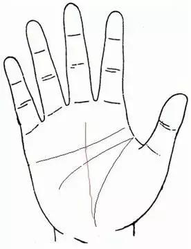 手掌先知:手相会告诉你何时转运_凤凰网科技_凤凰网