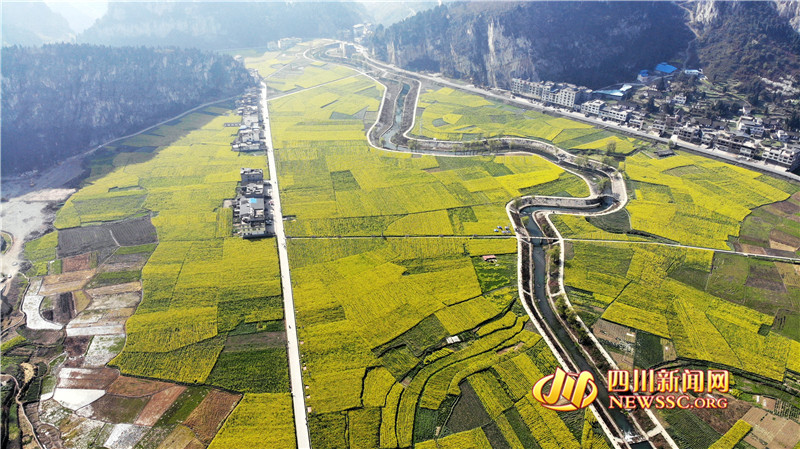航拍古蔺双沙油菜花海画里乡村甚是壮观