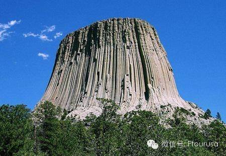 东西方神话传中都说通天大树可以通往另一个世界难道是真的吗_凤凰网科技_凤凰网