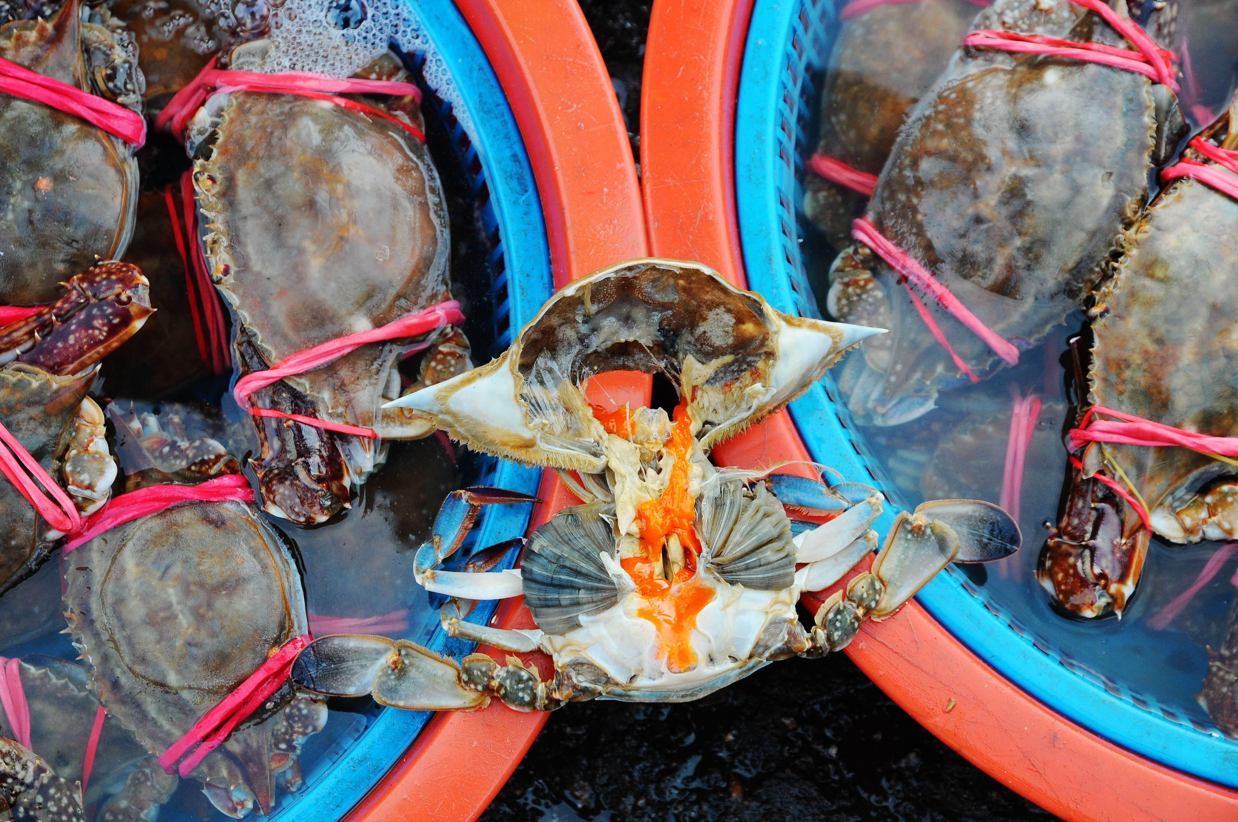 图为:早市上待售的梭子蟹35元一斤.鲜活的售价150元一斤.