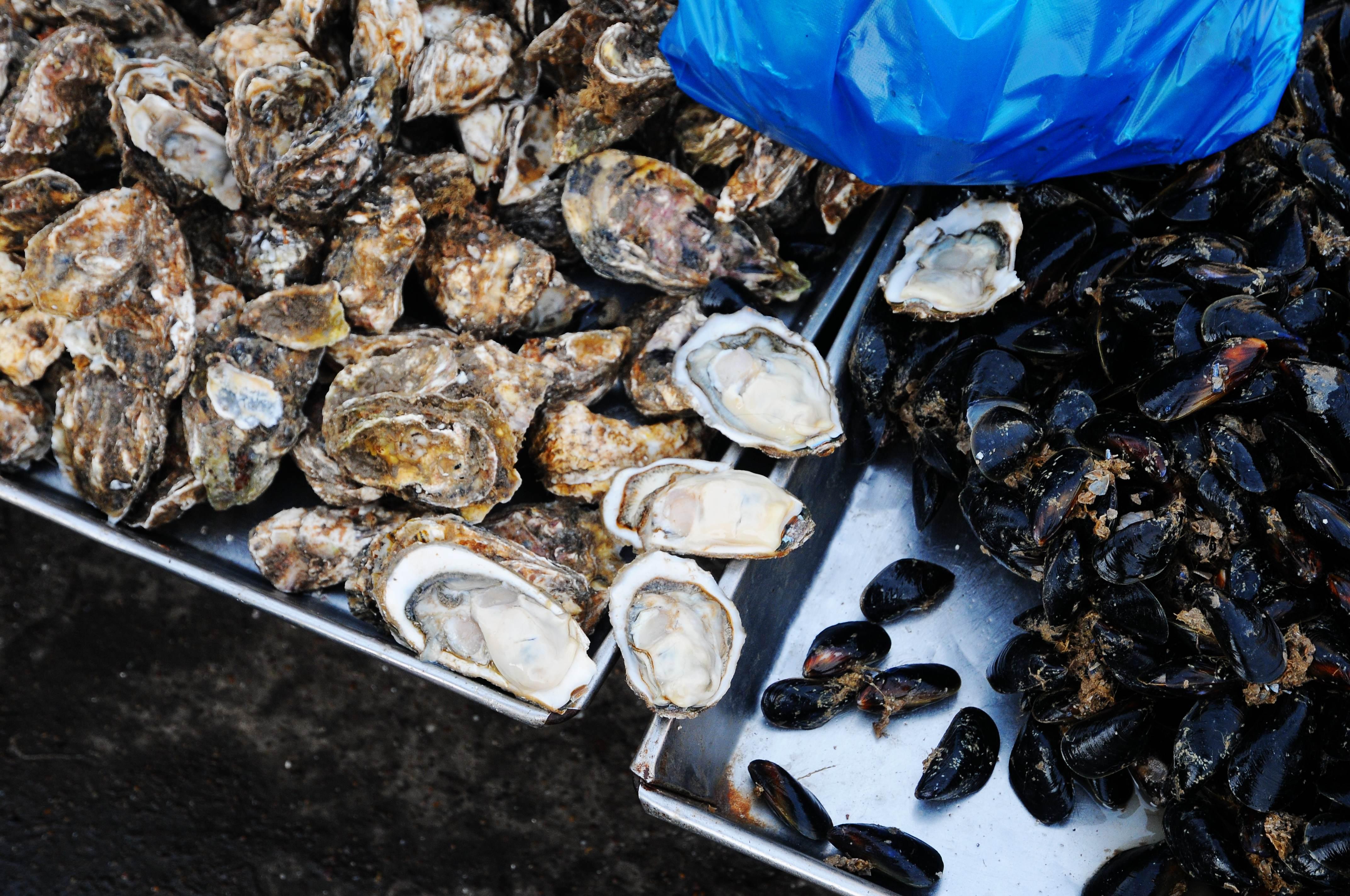 图为早市上待售的肥硕的海蛎子,10元2斤.