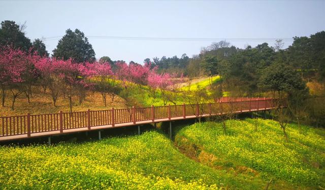 山顶平坦开阔,山边悬崖峭壁,四周群山逶迤,风景区内自然植被良好,空气