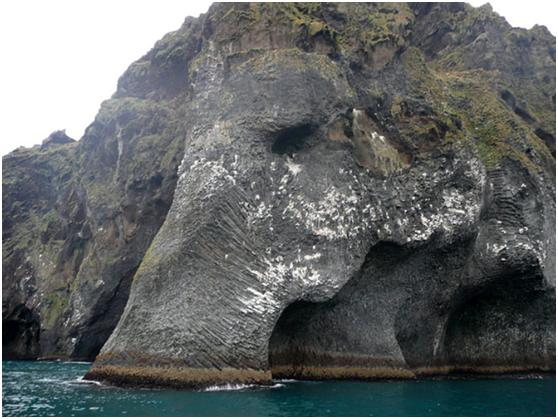 海贼王中那整头大象形象的"佐乌岛",现实中真的存在吗?