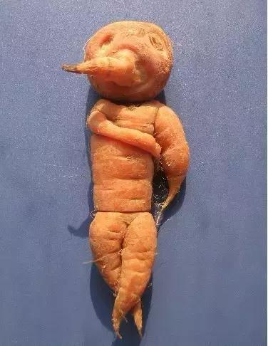 发几张不正经的照片给大家看看,笑死人不偿命!-爆笑囧图