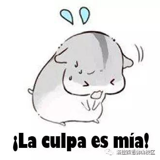 第四波,海量西语表情包大放送,斗图你最叻!