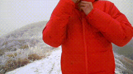 516_290gif 动态图 动图
