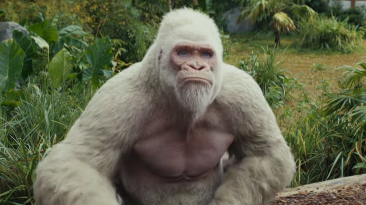 《狂暴巨兽》中的猩猩为了这个目标,巨石强森找来了一众伙伴.