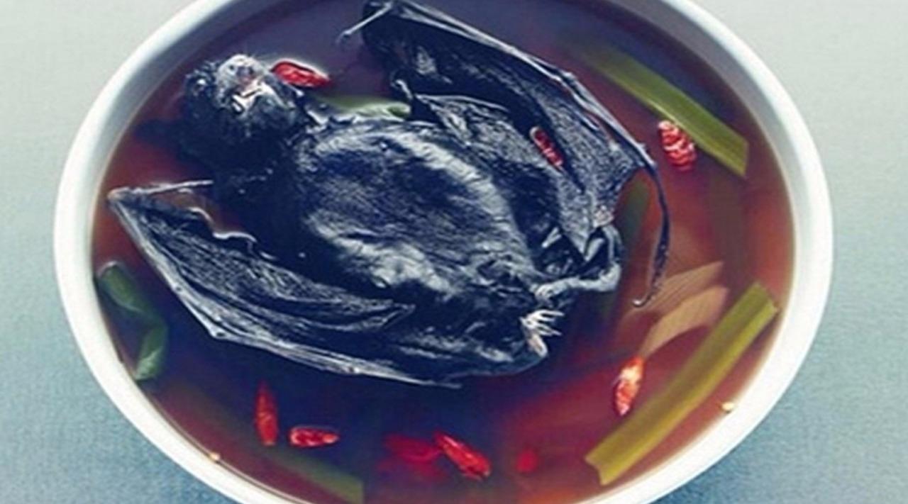 广东人输了?蝙蝠也能做成汤?五种重口味美食,哪一种你敢吃