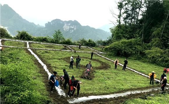 酉阳后坪乡图片