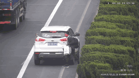 480_270gif 动态图 动图