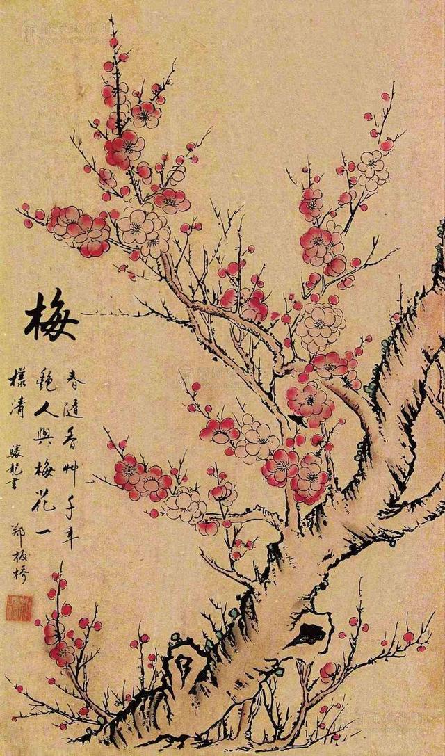 郑板桥为何不画梅花?历史上有个"郑板桥给别人留口饭吃"的经典故事.