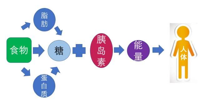 血糖控制:不同人群標準大不同!