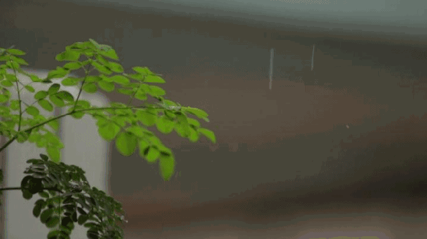 火爆纽约时尚圈,这个"口红伞"防雨防晒,绝对出街凹造型必备利器~~丨