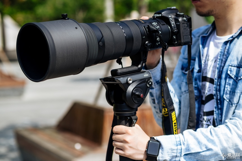 评测:拥有尼康af-s 180-400mm f/4e 菜鸟也变专业摄影师