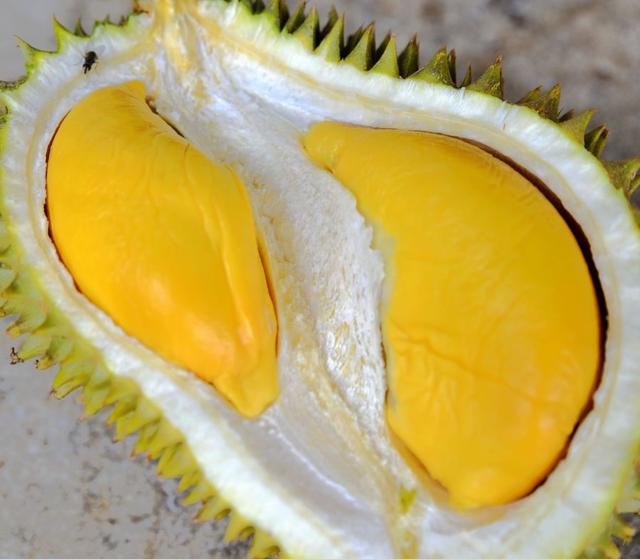 常见水果绰号:水果伟哥,水果之王,索命水果……收藏