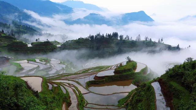 从江加榜百里梯田灌水摄影季即将到来!五一可以约起来
