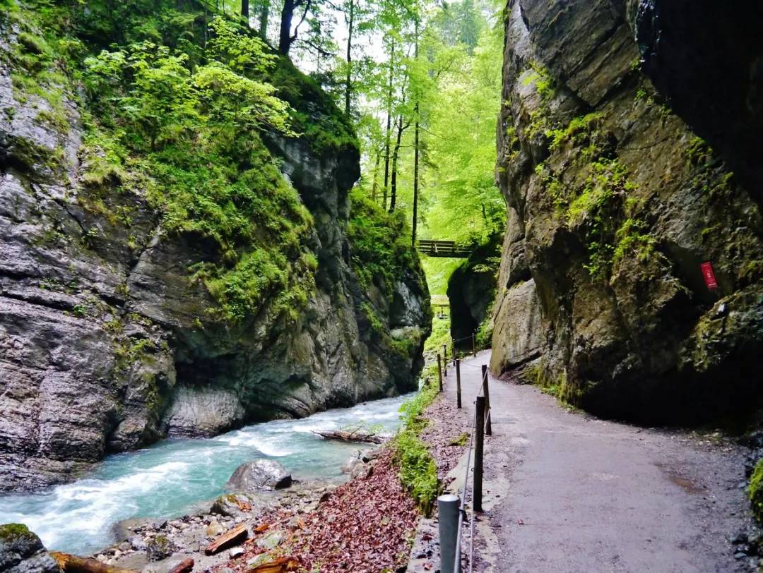 走遍德國丨德國最受驢友喜愛的徒步旅遊路線有哪些?