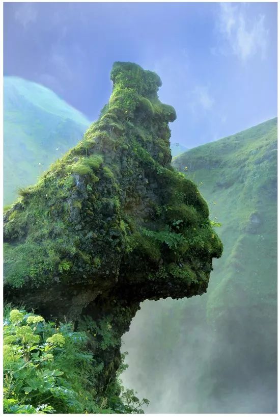 多乐士,多伦多天气,多伦多时间,少林僵尸2,少林客车,少林搭棚大师