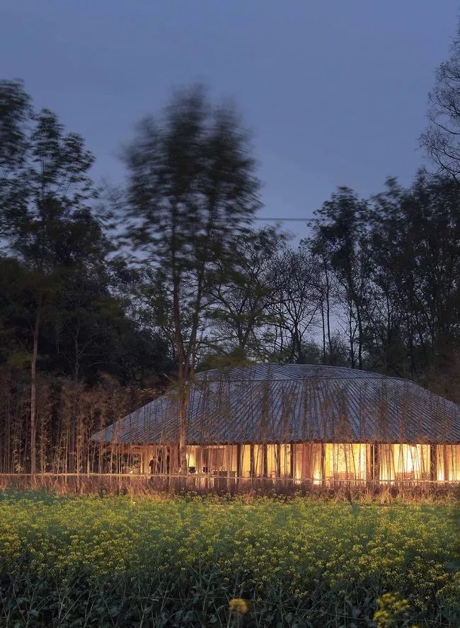 杭州资讯 凤言 "竹里房栊一径深,静愔愔" 仅用5