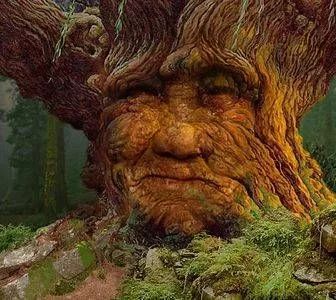 多乐士,多伦多天气,多伦多时间,少林僵尸2,少林客车,少林搭棚大师