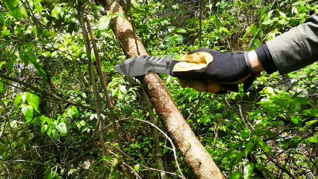 如以上动图,强大的狗腿,35mm厚的刀刃,加上的柄尾可使我轻松的砍掉