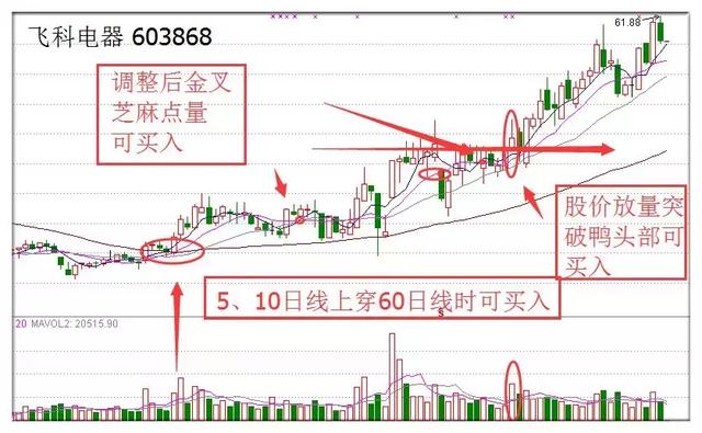 股市操盘手博客（股市十台甫
博博客）