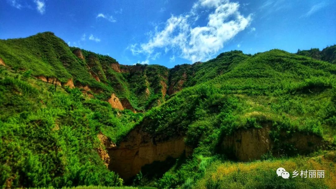 你没看错,这的确是临平镇西河最美的蓝天!