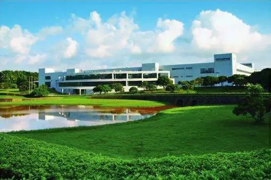 又一家百年企业点播了一首《凉凉》