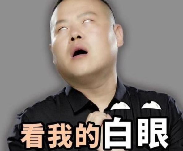 空间这事儿我是上了当了……"老王撇撇嘴,依旧不服软,"那豪华呢?