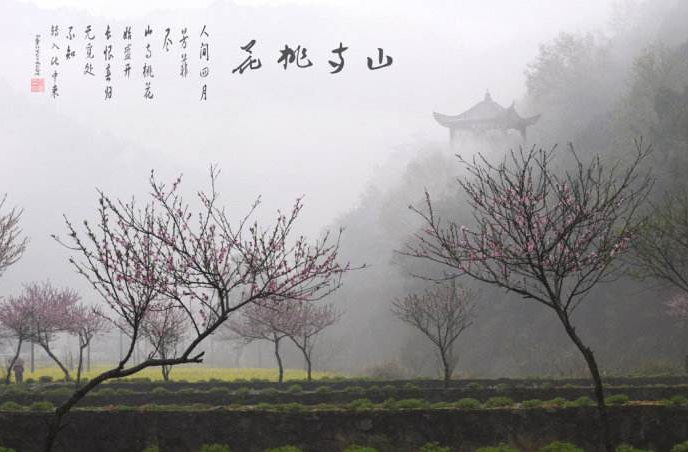 "人间四月芳菲尽,山寺桃花始盛开"诗的美感,也蕴含科学道理__凤凰网