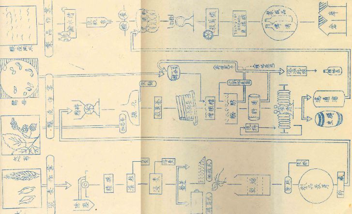 1950年青岛啤酒工艺流程