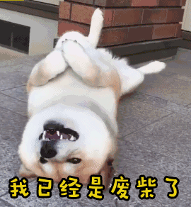 剧烈运动之后,我们往往大汗淋漓倒地不起,感觉自己十分虚弱.