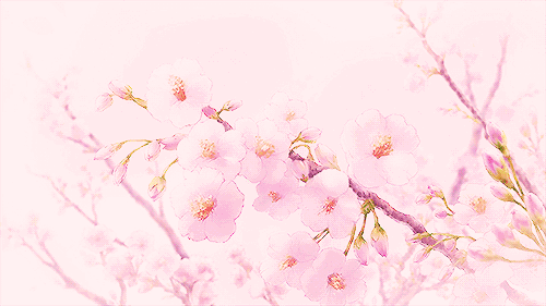 樱花壁纸高清动态图片