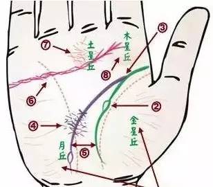 24种手诊图，堪比X光线，揭示你的身心健康_凤凰网健康_凤凰网