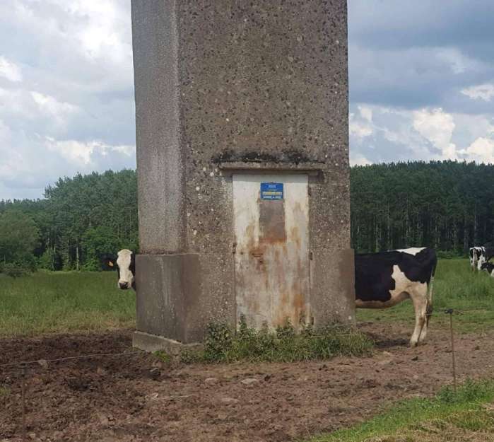 世界上十张容易产生「误会」的图片,一不留神,你就会看走眼!