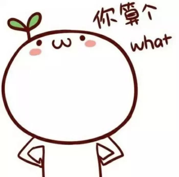 在我会心一笑间,火车轻微一晃,缓缓驶出车站,预示着这段这段邂逅之旅