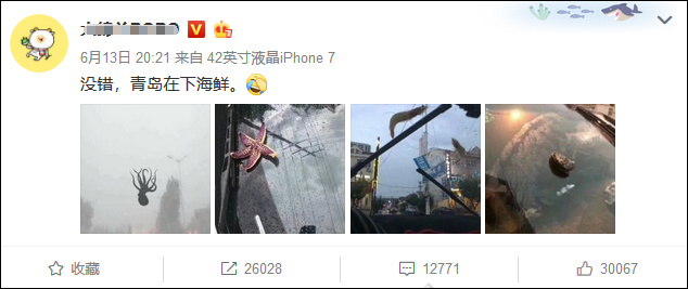 青島下「海鮮雨」？真實情況並不好笑(圖)