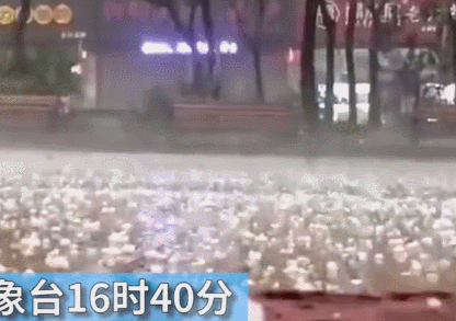 青島下「海鮮雨」？真實情況並不好笑(圖)