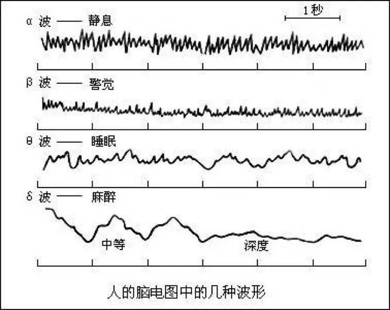 神经科学界,国际脑波学会根据脑波频率将脑电波分成4 个主要类别:α