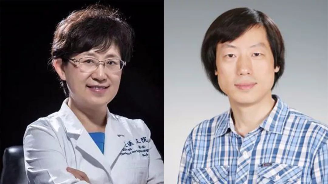 单细胞多组学研究成果重磅发布!乔杰、汤富酬课题组联合揭秘人类植入前胚胎发育表观遗传特征_凤凰网健康_凤凰网