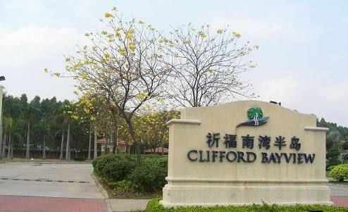 祈福集团董事长他本来有机会当首富却偏要选择当医生