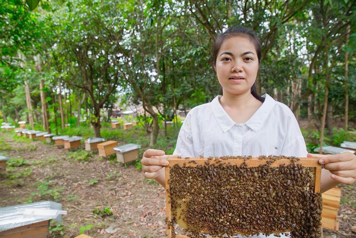 农村小妹荔枝林养蜜蜂,为了让粉丝能分辨蜂王,在几万只蜂中寻找