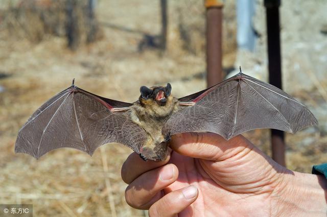 这三种风水格局必出贵人一生财源滚滚福运旺