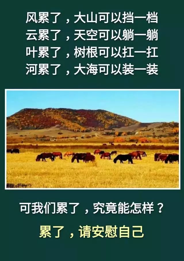 人活著:不累,是木頭;不痛,是磚頭;不苦,是石頭(精闢)__鳳凰網