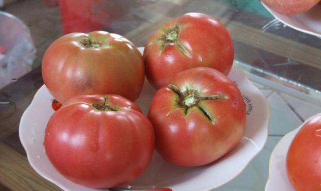 番茄鱼龙混杂,卖菜老板传你3招"火眼金睛",揪出催熟西红柿