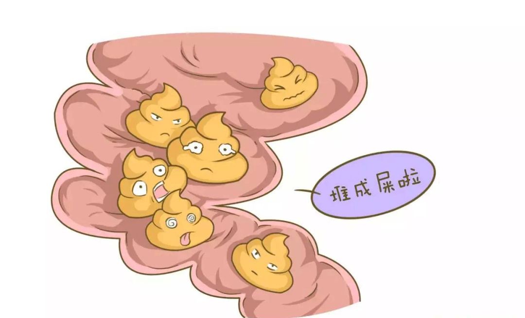 【张晓燕】请养成早晨或上午大便的习惯_凤凰网健康_凤凰网