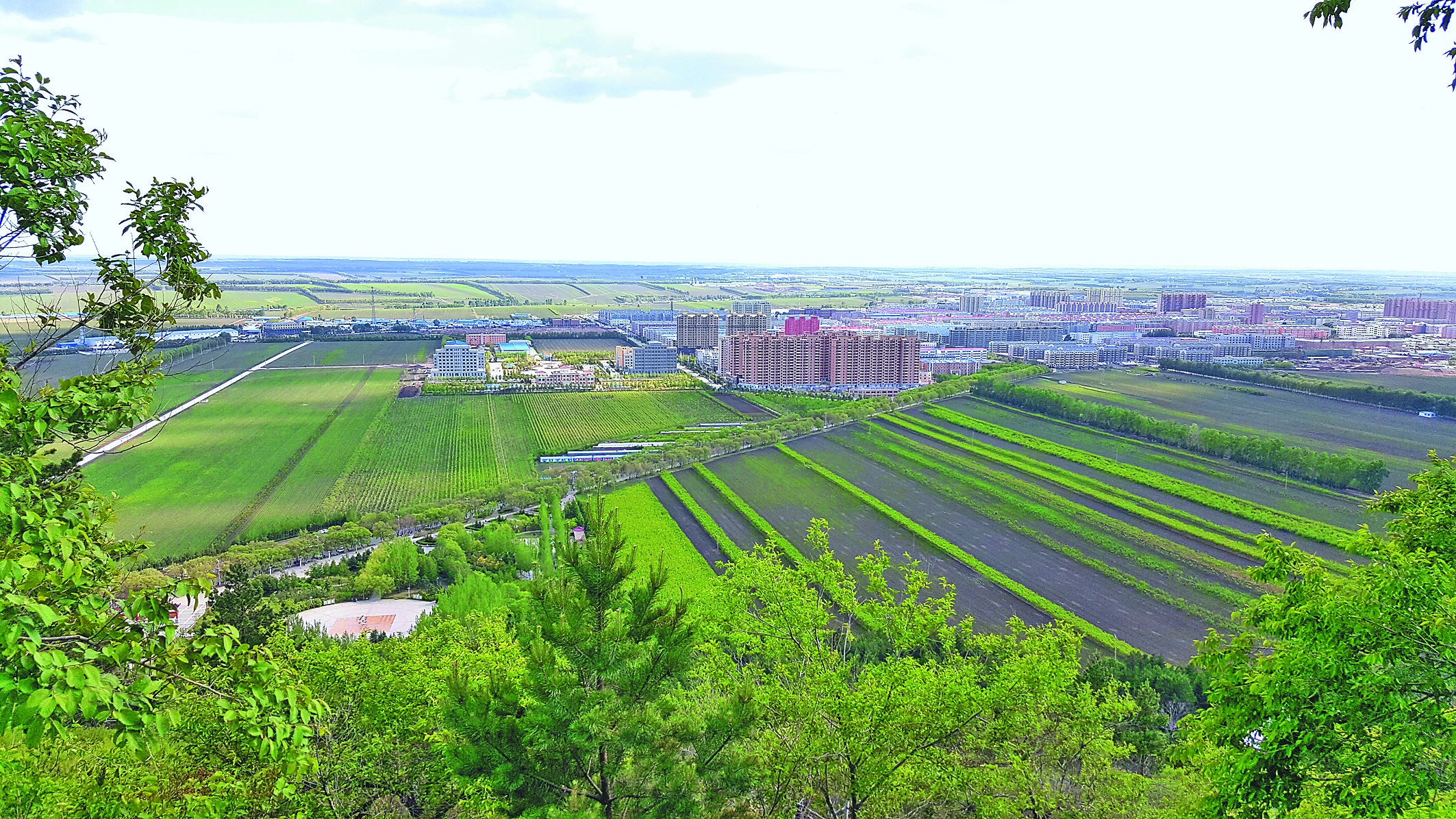 远眺克东县城. 高辉本报记者姚建平摄