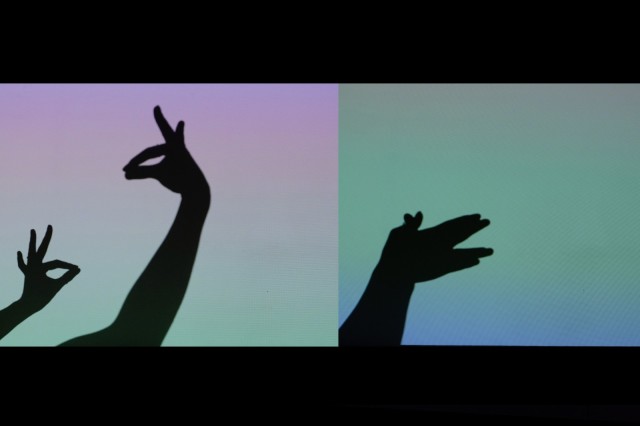 两只孔雀和鳄鱼先生如果你什么手影都不会也可以直接拿真物品来比划